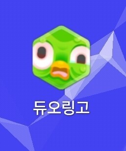 듀오링고 한동안 안들어가니 아이콘 미쳐가네_1.jpg
