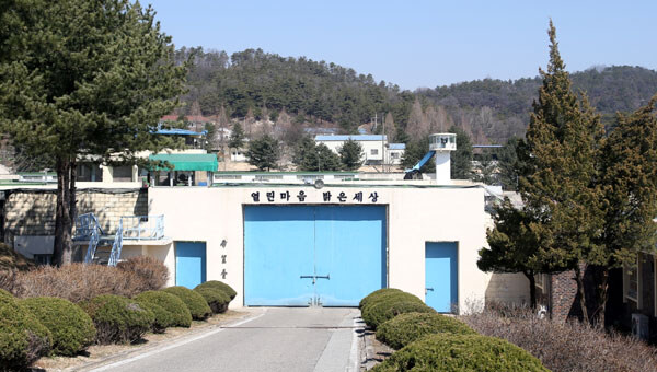 수형번호 3617_7.jpg