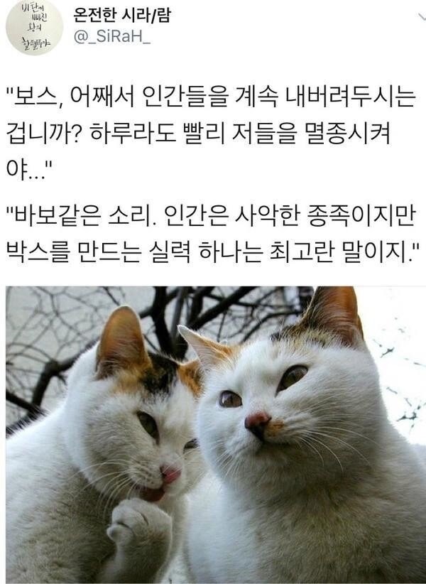 "보스, 어째서 인간들을 계속 내버려두시는겁니까?"_1.jpg