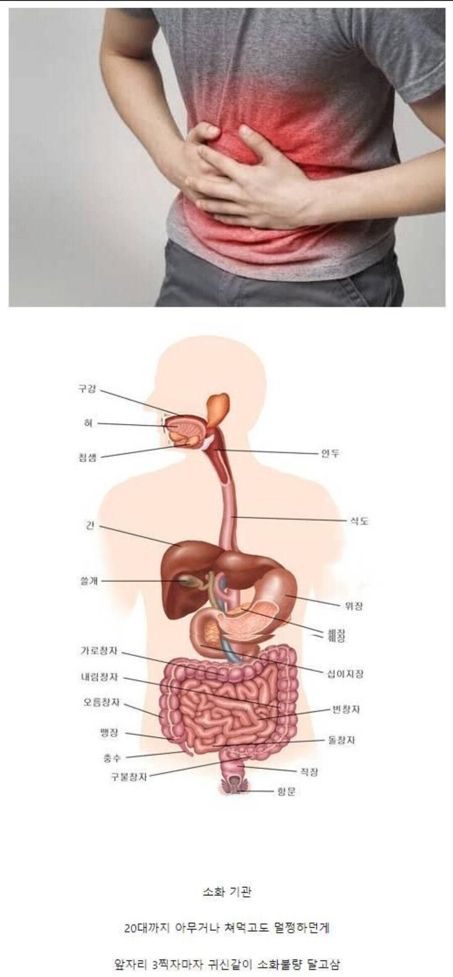 30줄부터 급격히 맛탱이 가는 기관_1.png
