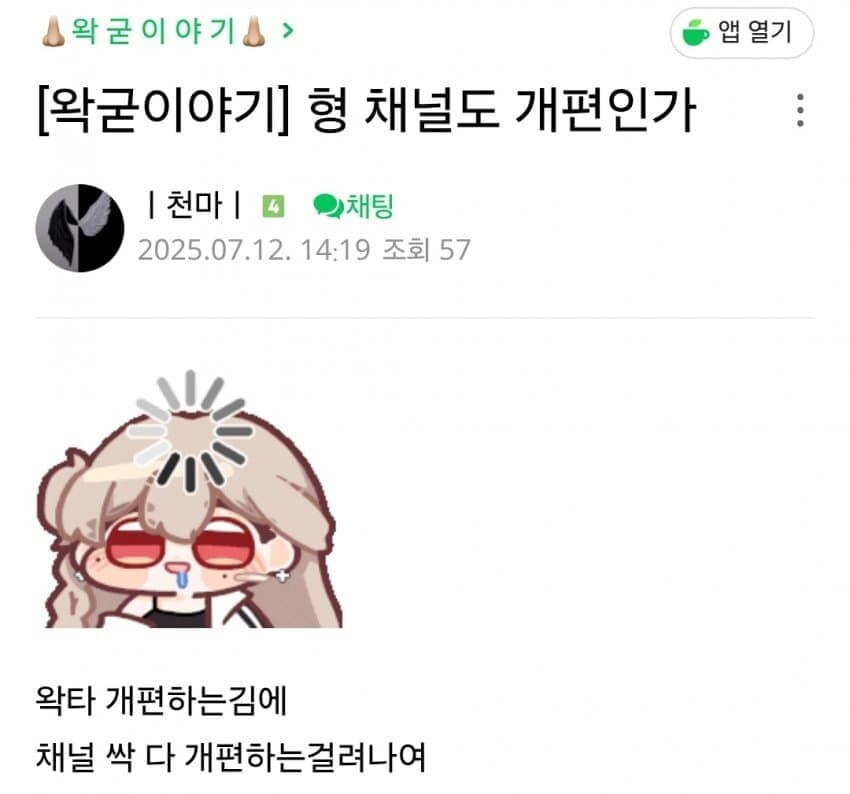 ㅇㅇㄱ) 실시간으로 체널 영상 다 내려간 소식에 '그 팬덤' 반응_3.jpg