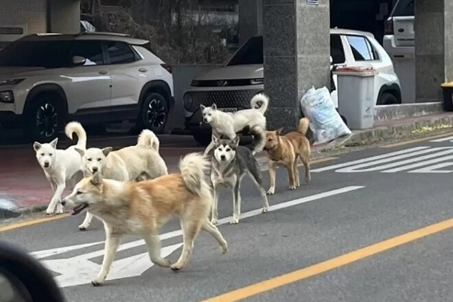 ㅇㅇㄱ)(약혐)이악물고 ㅋㄴ까기 가 열등감 때문이여야 하는 이유_2.jpg