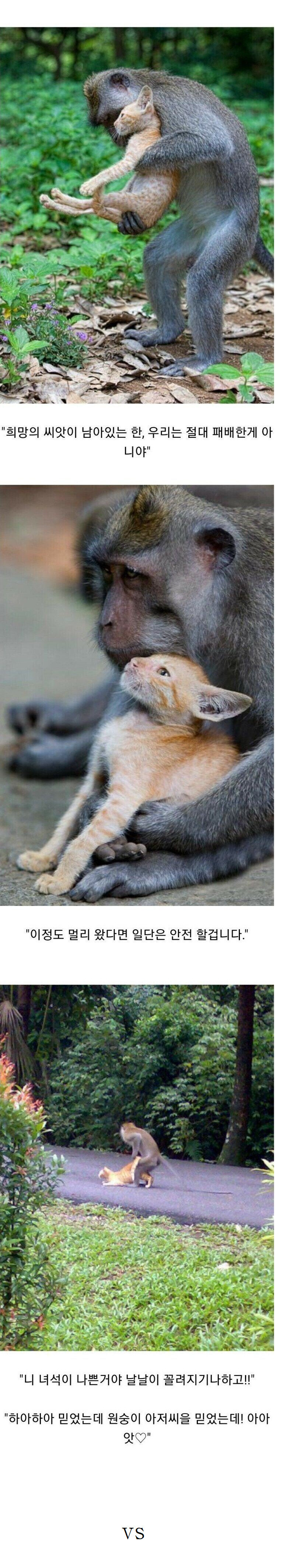 "공주님 실례합니다 이쪽으로..."_1.jpg