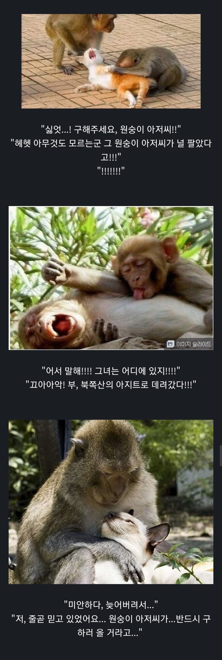 납치된 공주님 편_1.jpg