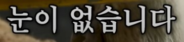 버려진 동물 구조해서 연 동물원의 수입_14.png