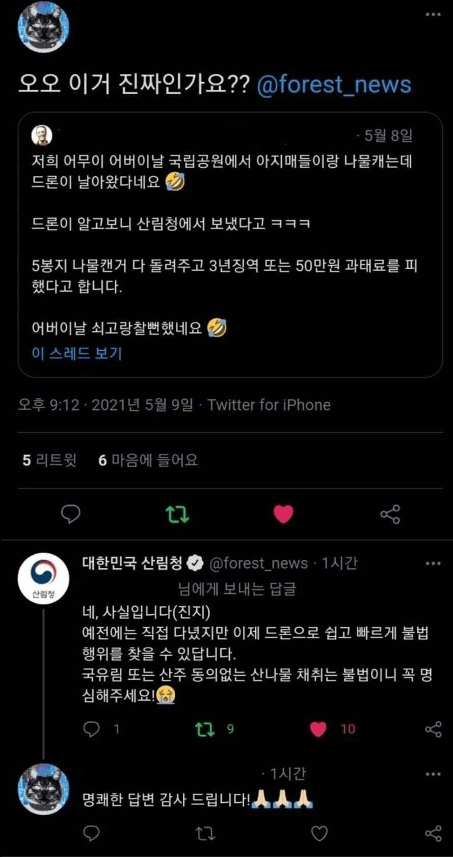 요즘 국립공원에서 나물 캐면 벌어지는 일_1.png