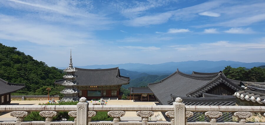 아버지 산소겸절에옴_2.jpg