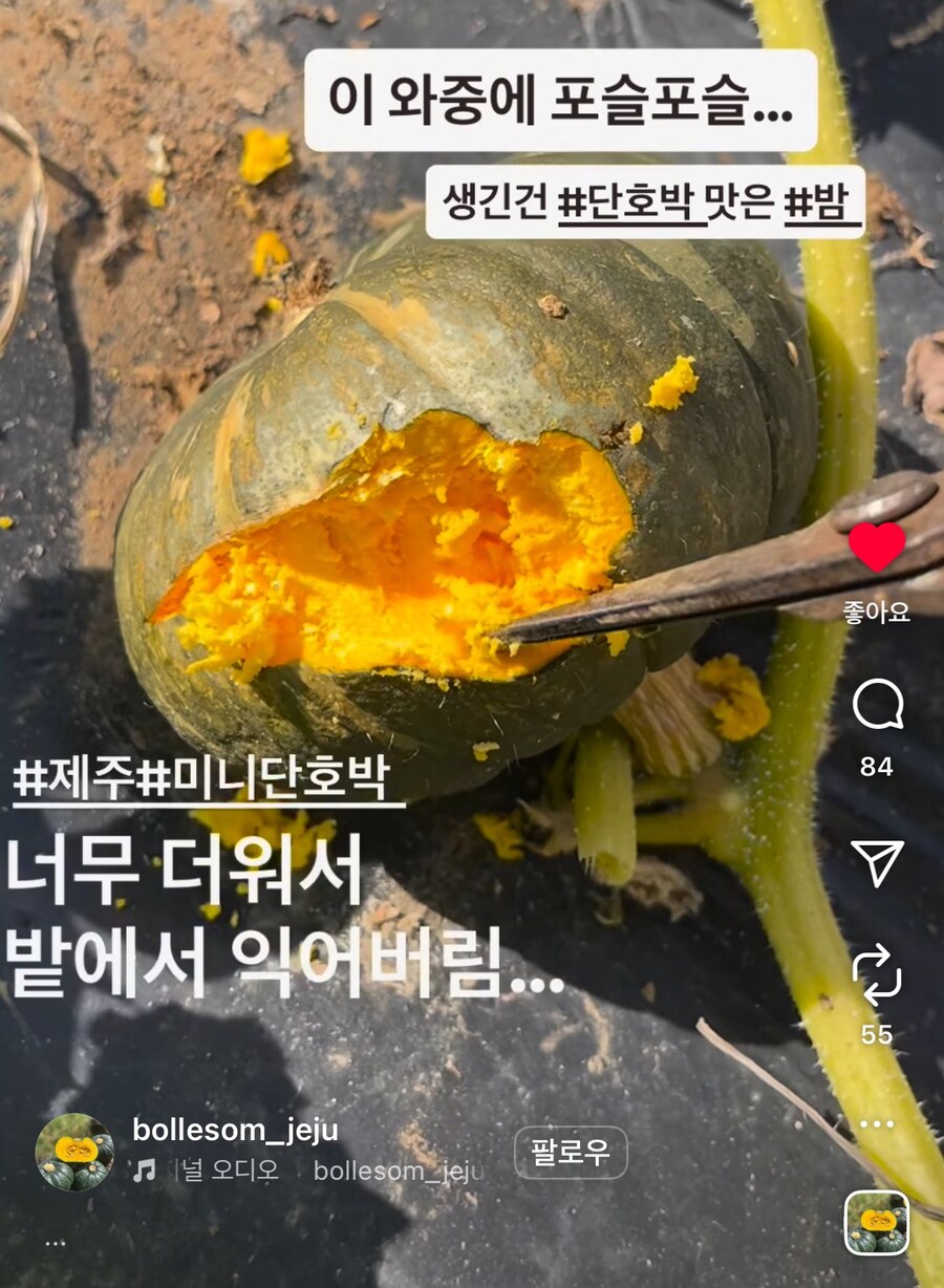 럭키비키한 요즘 날씨_1.jpg
