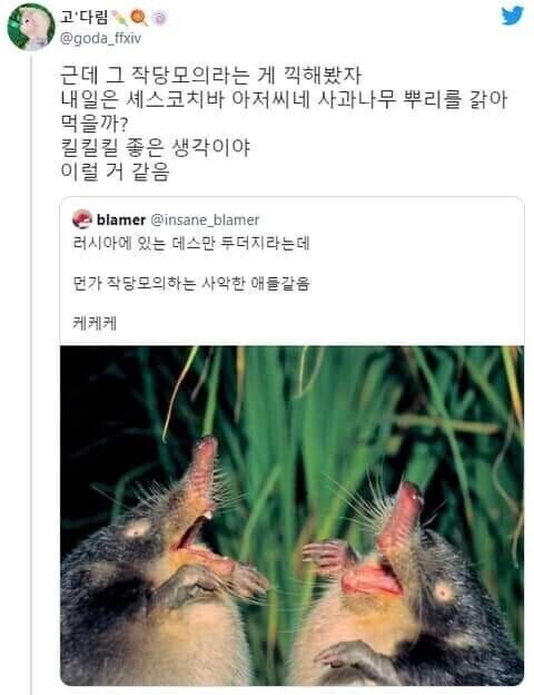 현대 문학이 왜 발전하지 못하긴..._1.png