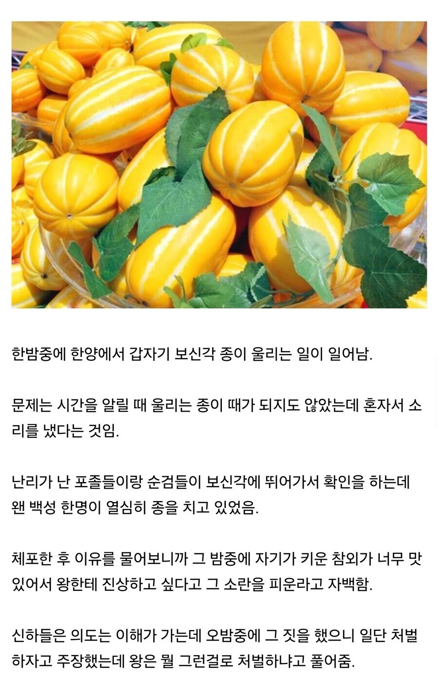 왕 - 그래서 참외는 가져왔겠지?_1.png