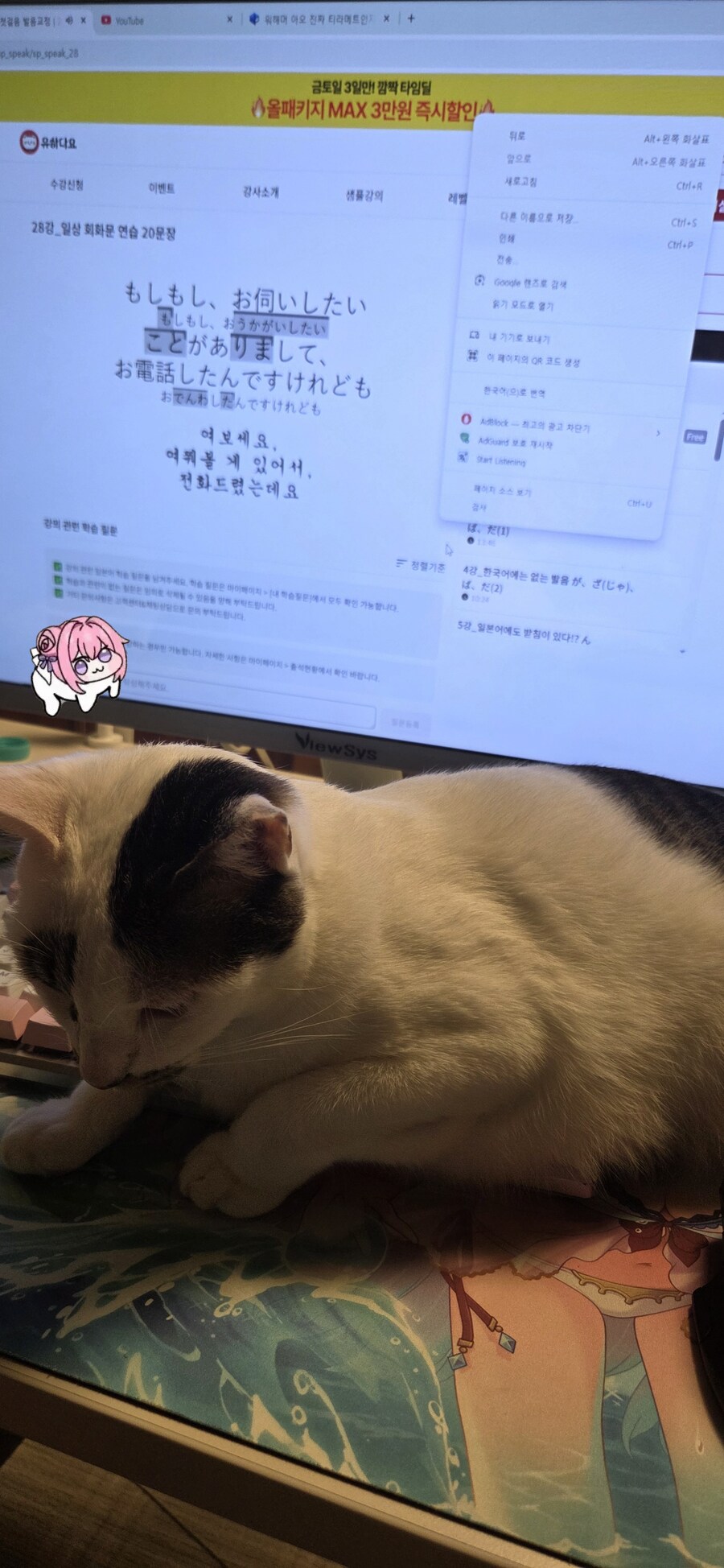 우리집 고양이가 내 일본어 공부 방해하네_1.jpg