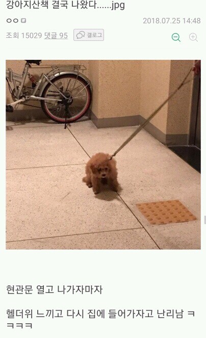강아지 산책 시켜줘야해?_2.jpg