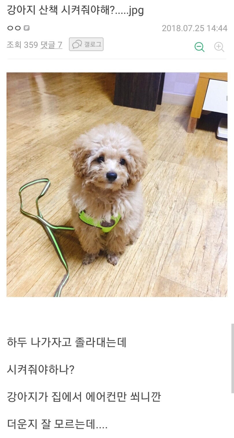 강아지 산책 시켜줘야해?_1.jpg