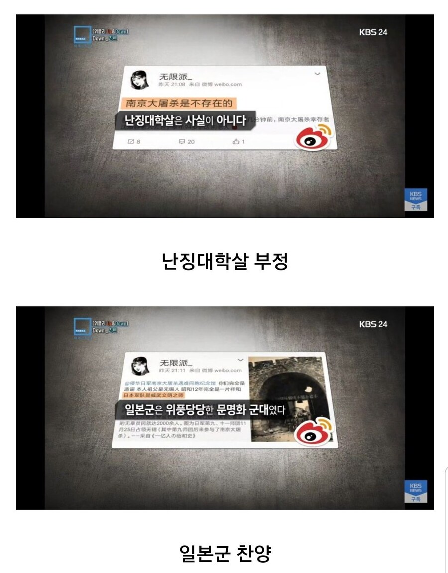 중국 일뽕 집단_4.jpg