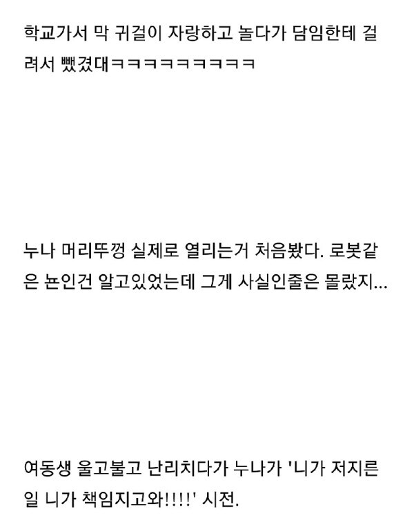 믿거나 말거나 3남매 썰.txt_4.jpg