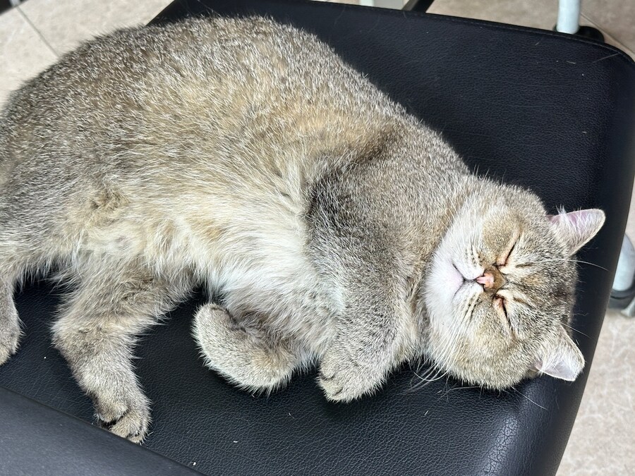 오늘의 중지짤.jpg_2.jpg