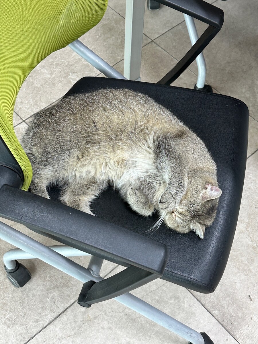 오늘의 중지짤.jpg_4.jpg