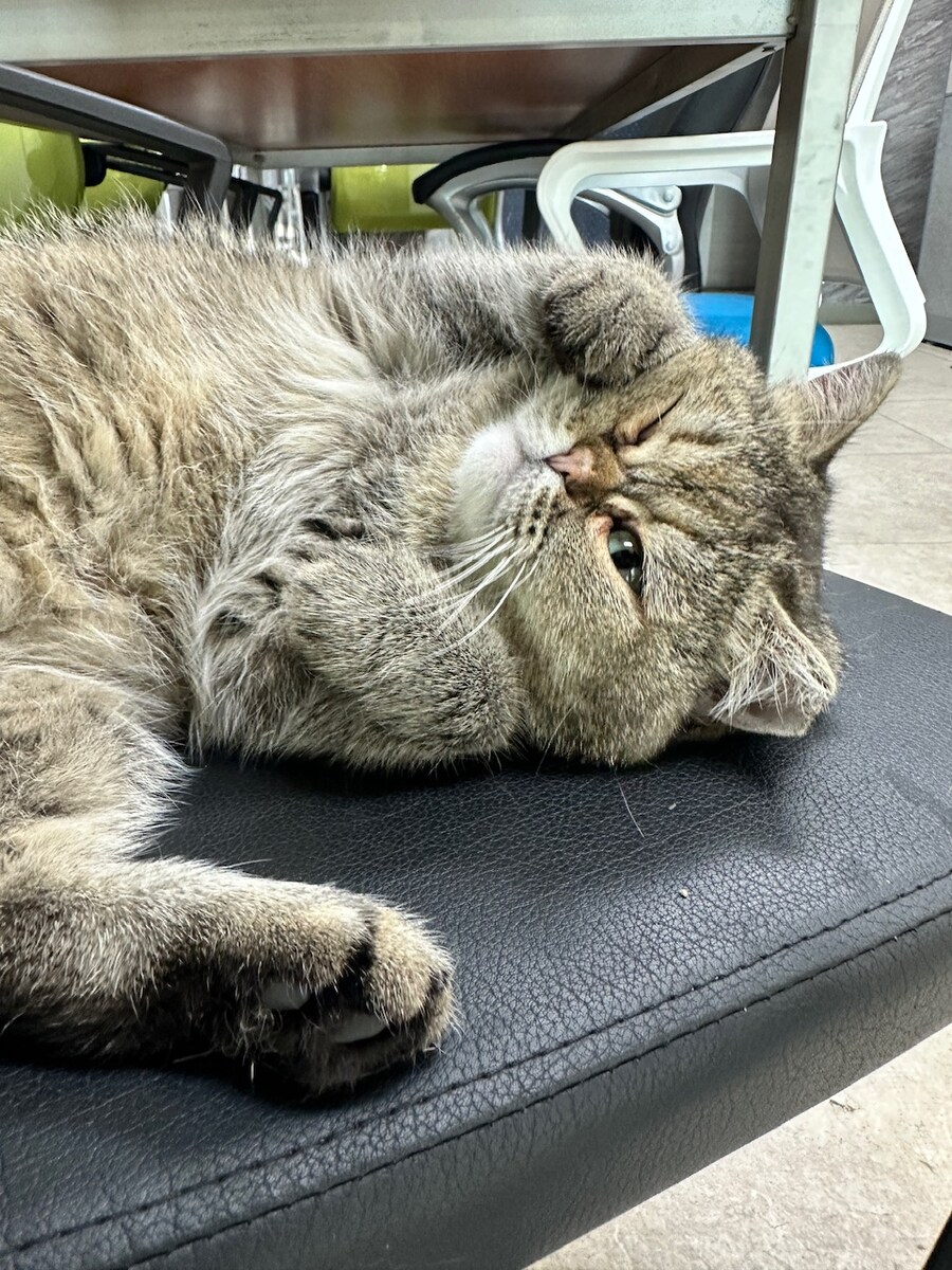 오늘의 중지짤.jpg_6.jpg