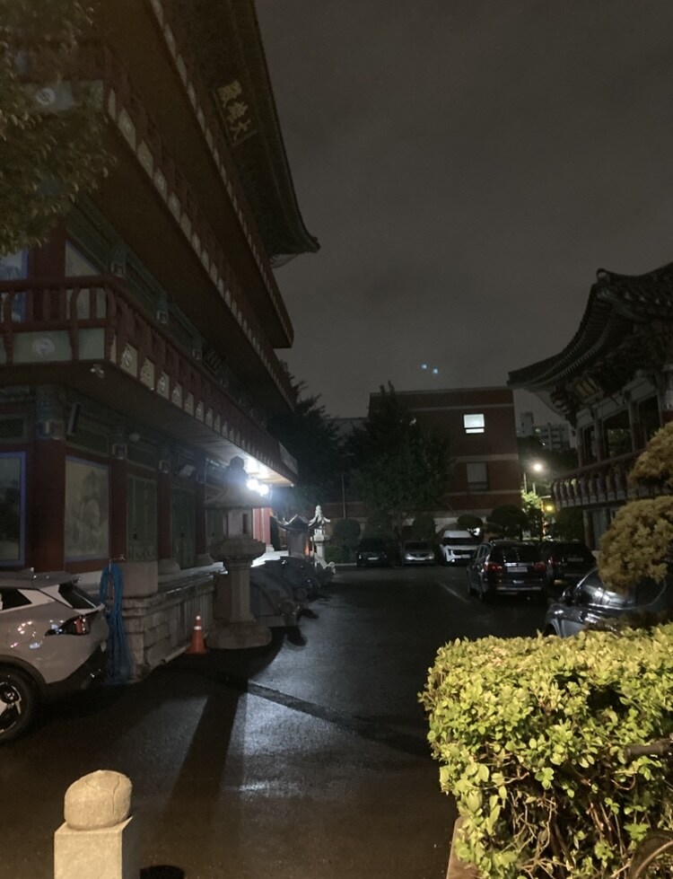 새벽 런닝완료 동네산보_6.jpg