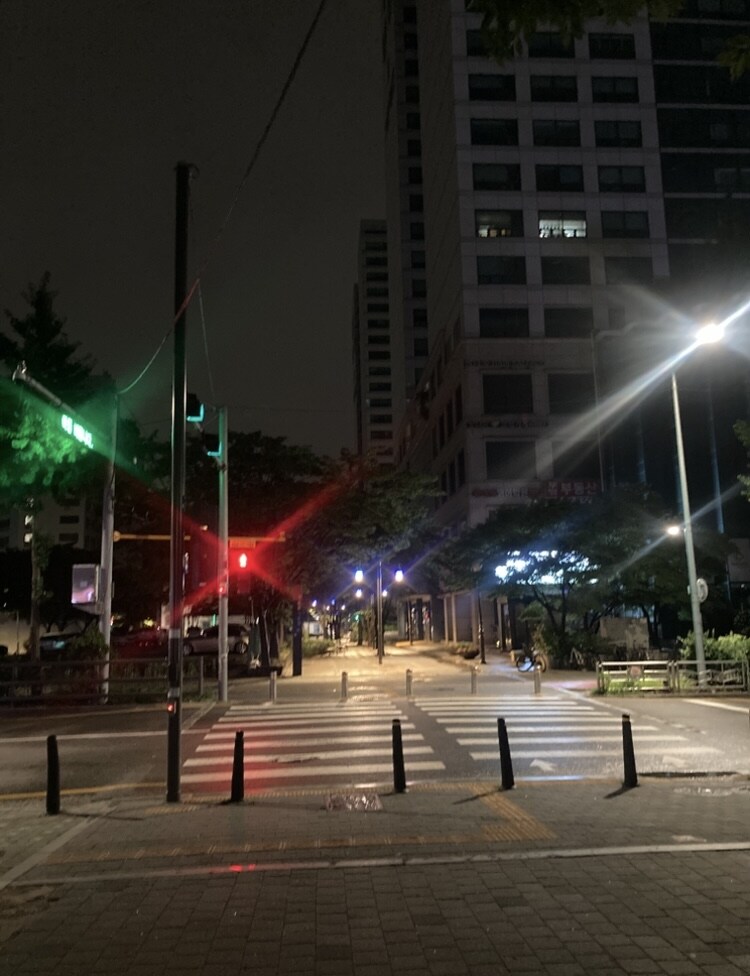 새벽 런닝완료 동네산보_10.jpg