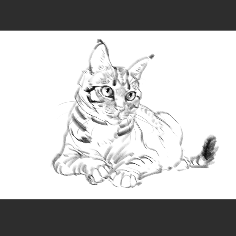 고양이) 우리집 고양이그림 보고가셈_9.png