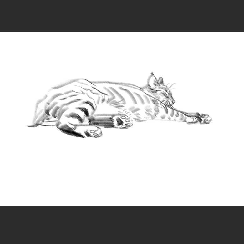 고양이) 우리집 고양이그림 보고가셈_13.png