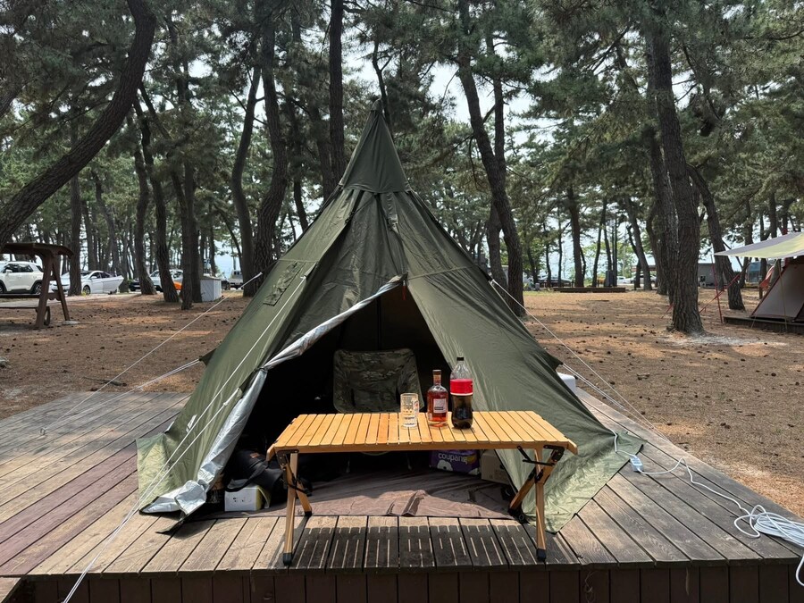 주문진 연곡해변 솔향기캠핑장._1.jpg