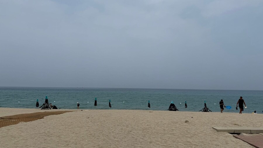 주문진 연곡해변 솔향기캠핑장._4.jpg