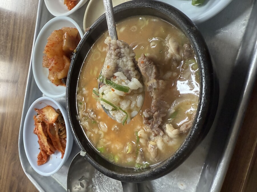 주문진 연곡해변 솔향기캠핑장._11.jpg