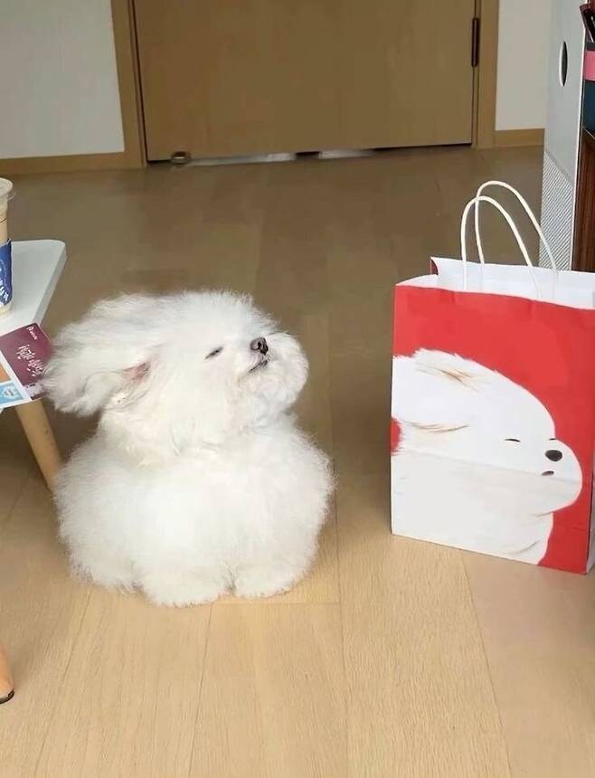 화요일 회사밥은?_1.jpg