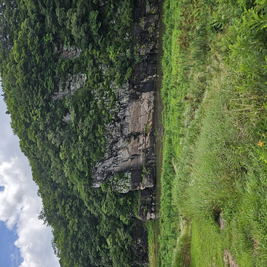 울주군 반구대암각화 다녀옴_3.jpg