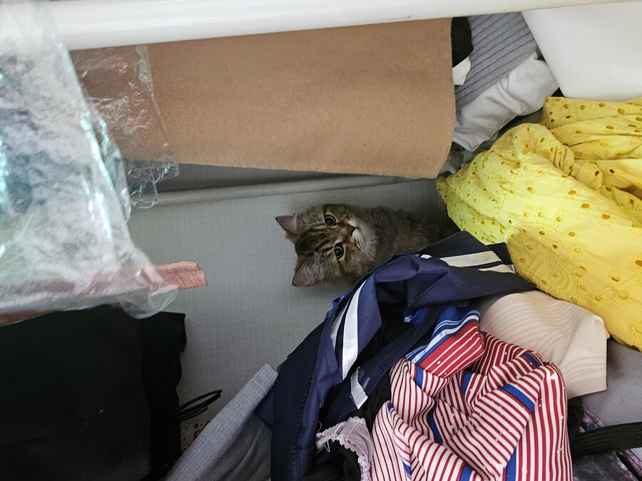 에어컨 없이 버틴지 1달째_1.jpg