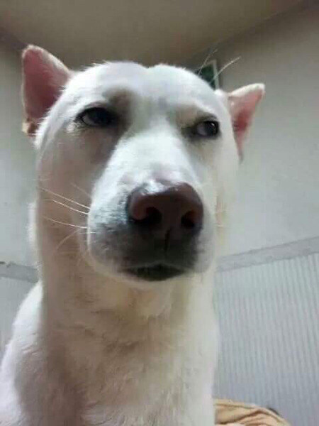 슬슬 예쁘고 야한 누나한테 결혼당할때가 되었군.._1.jpg