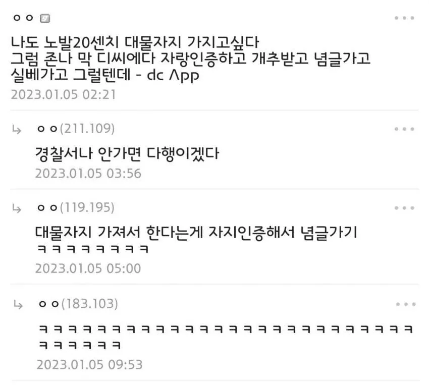 꼬츄 20cm 디씨인의 위시 리스트_1.webp