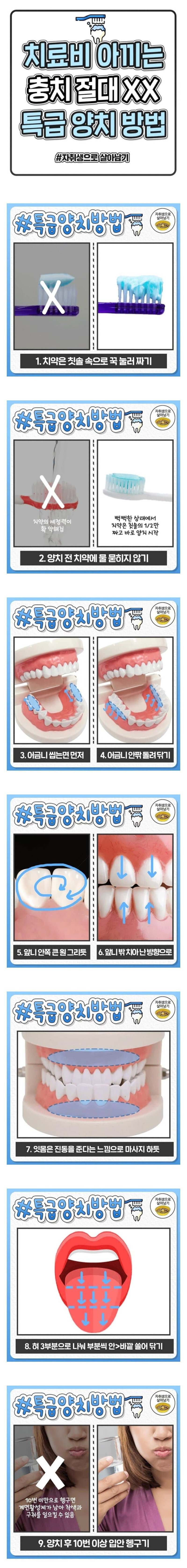충치 치료비 아끼는 양치 방법_1.jpg