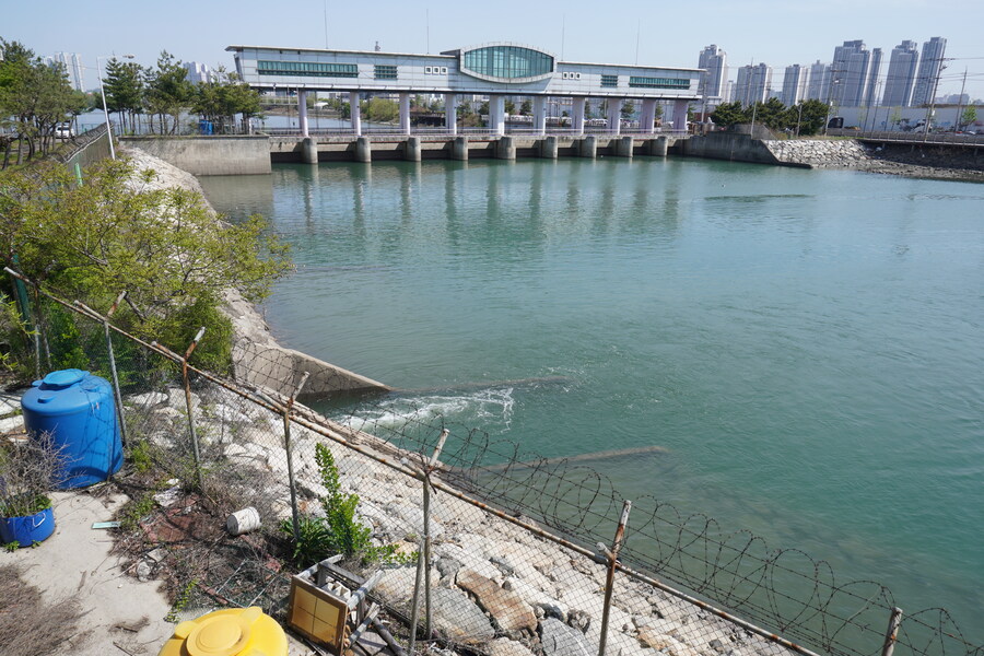 5월, 인천 해안 갯벌 탐조_10.jpg