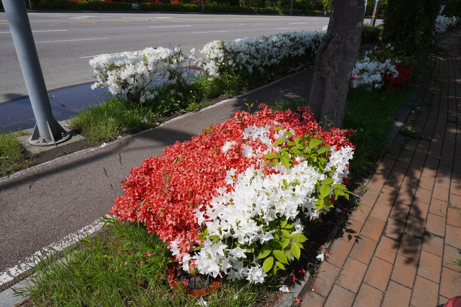 5월, 인천 해안 갯벌 탐조_13.jpg