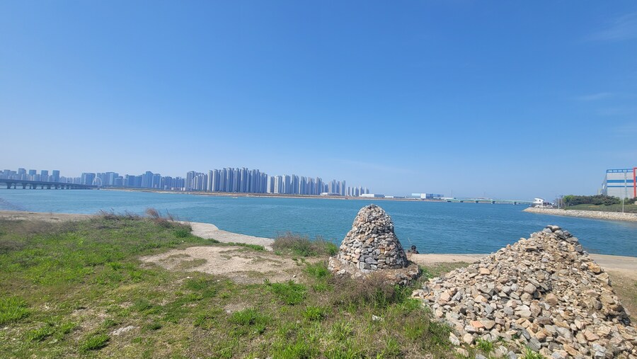 5월, 인천 해안 갯벌 탐조_14.jpg