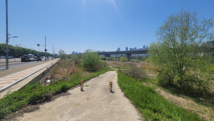 5월, 인천 해안 갯벌 탐조_33.jpg