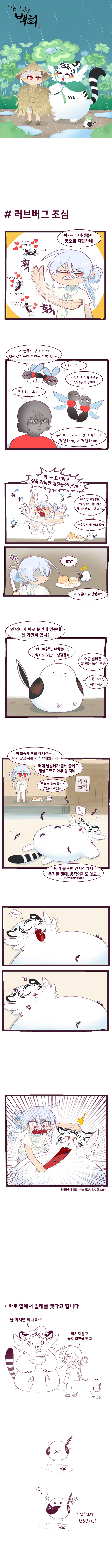 뚱뚠이 백호 백희 - 여름 곤충들 +단체전_2.jpg