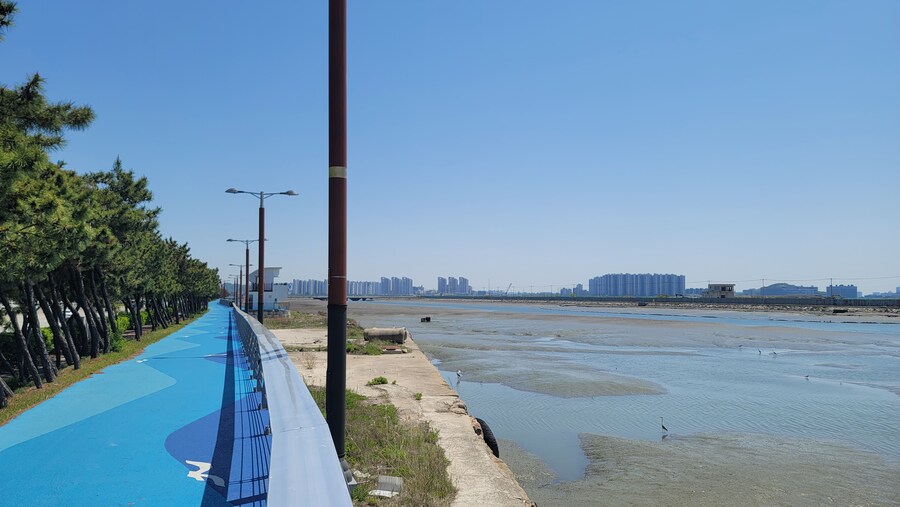 5월, 인천 해안 갯벌 탐조_58.jpg