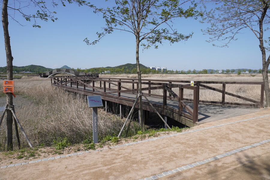 5월, 인천 해안 갯벌 탐조_92.jpg