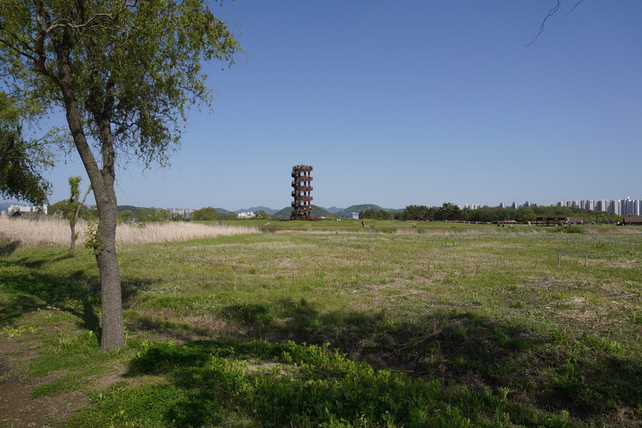 5월, 인천 해안 갯벌 탐조_104.jpg