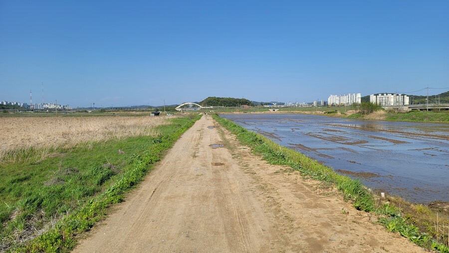 5월, 인천 해안 갯벌 탐조_105.jpg