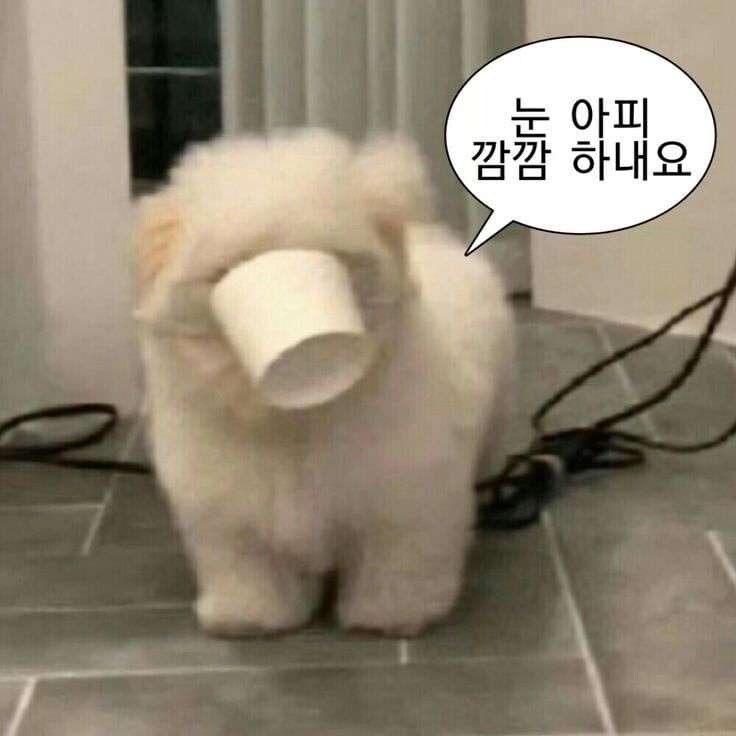 소전) 근데 결국 스토리 얼마나 더 이어갈지가 궁금하네_1.jpg