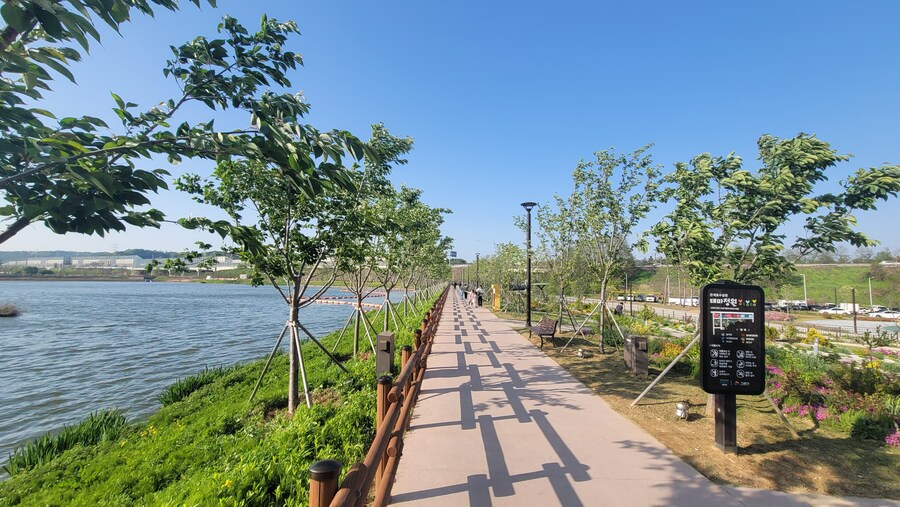 5월, 인천 해안 갯벌 탐조_135.jpg