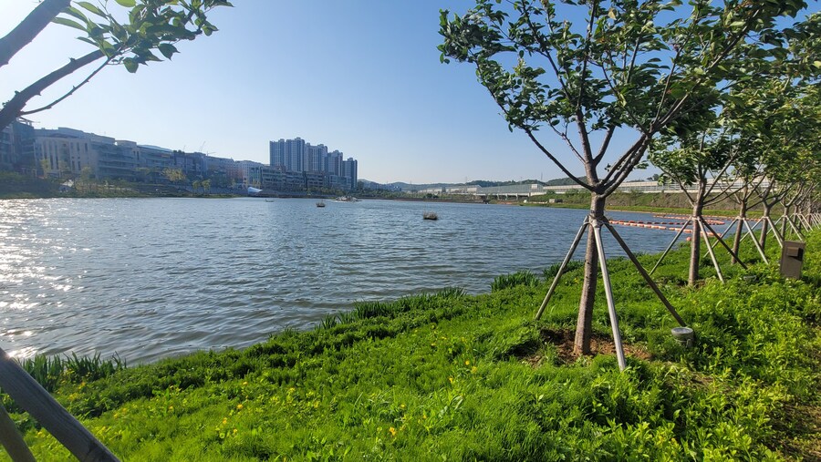 5월, 인천 해안 갯벌 탐조_134.jpg