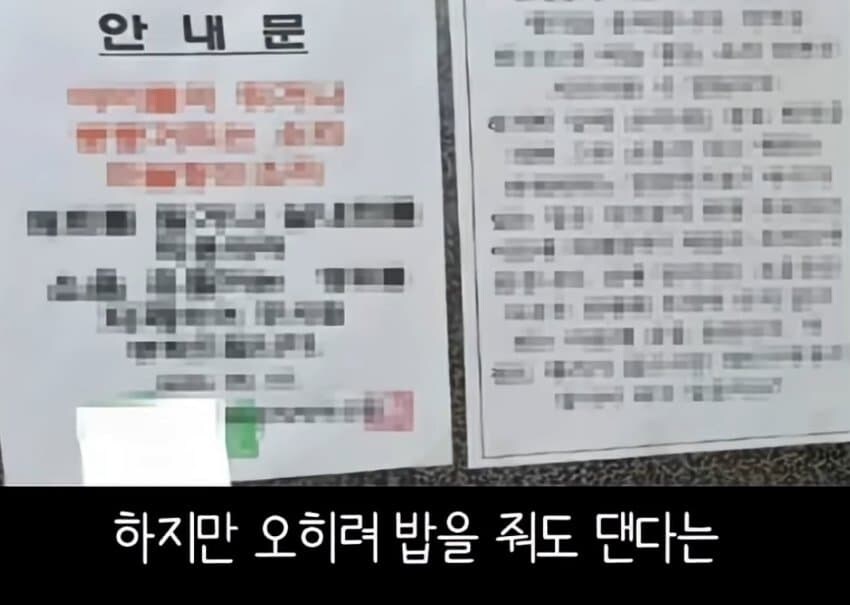 캣맘들이 사라진 이유_1.jpg