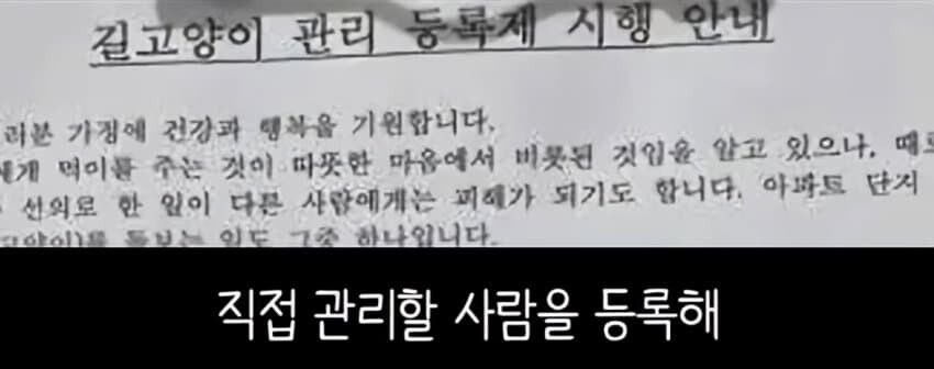 캣맘들이 사라진 이유_5.jpg