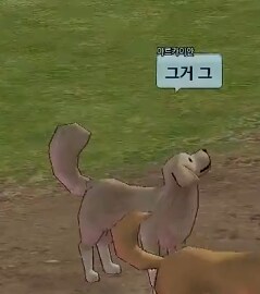 마비노기 근황.jpg_3.png